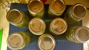 9 jars of pickles.  Thank God I love pickles.